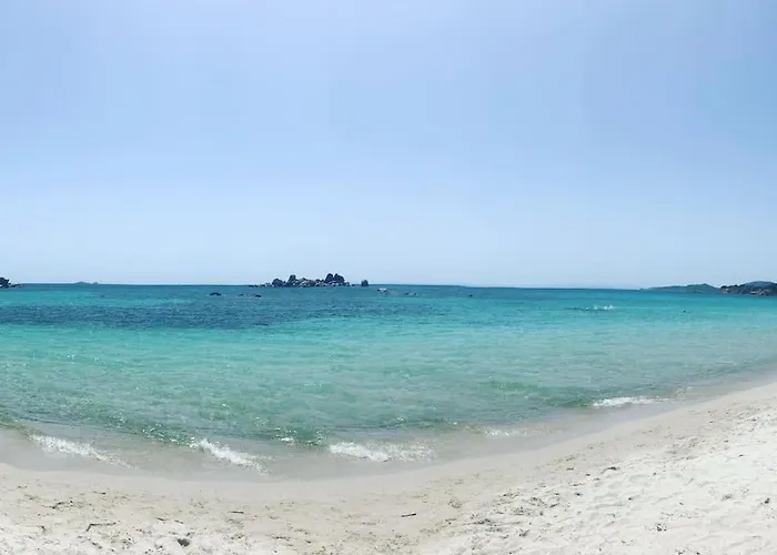 Domaine D'arca Eluard 02- Porto-vecchio - Rez De Jardin - 2 A 4 Pers Apartment Porto-Vecchio (Corsica)